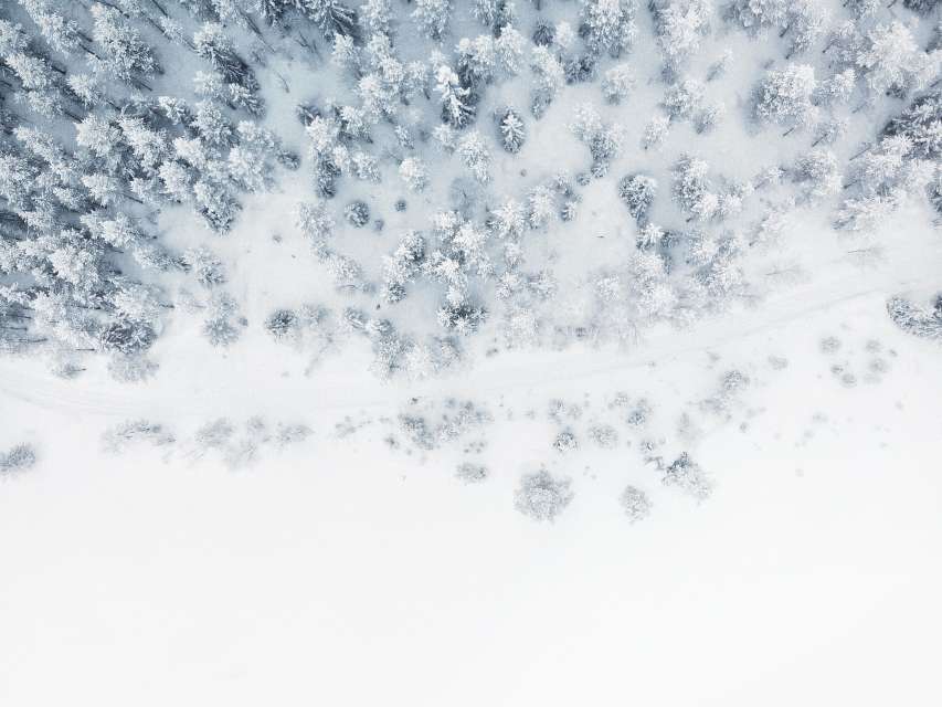 Winter in Winterthur